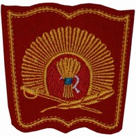 Шеврон СВУ