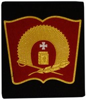 Шеврон на черном фоне