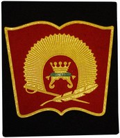 Шеврон на черном фоне