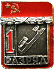 Атрибутика 1 разряд коньки
