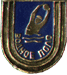 Значок спортивный водное поло