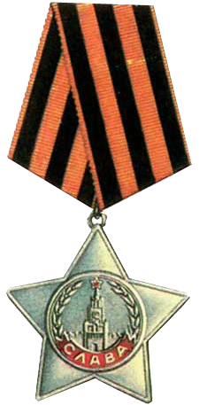 Орден Славы 3 степени