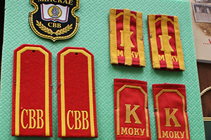 Выставка «75-я годовщина СВУ» 1943-2018 гг.;