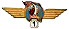 Знак Летчик-космонавт