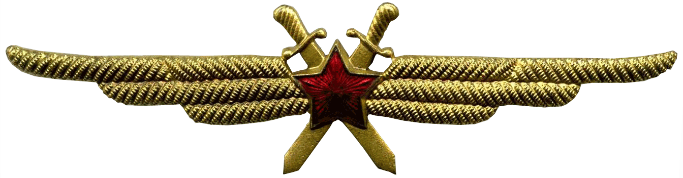 знак Знак летчика 1949 год